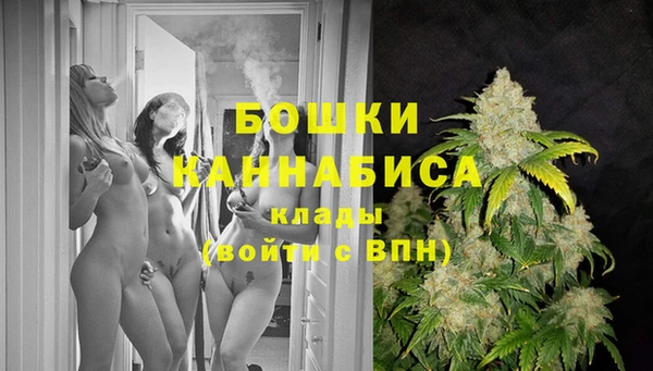 индика Абдулино