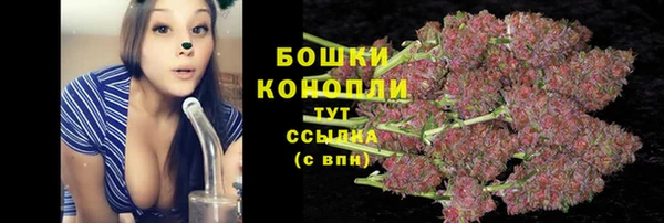 шишки Алексеевка
