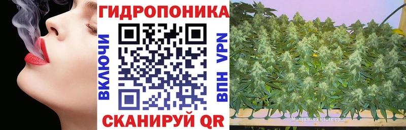 купить наркотик  Богородск  Бошки марихуана Bruce Banner 